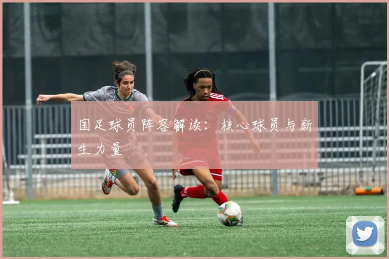 国足球员阵容解读：核心球员与新生力量