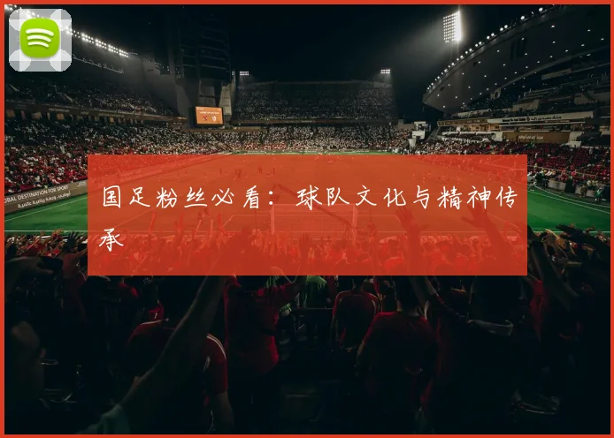 国足粉丝必看:球队文化与精神传承