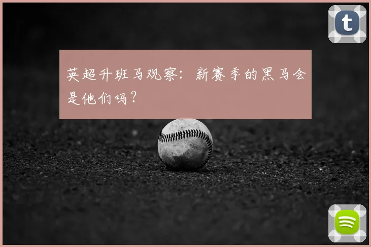 英超升班马观察：新赛季的黑马会是他们吗？