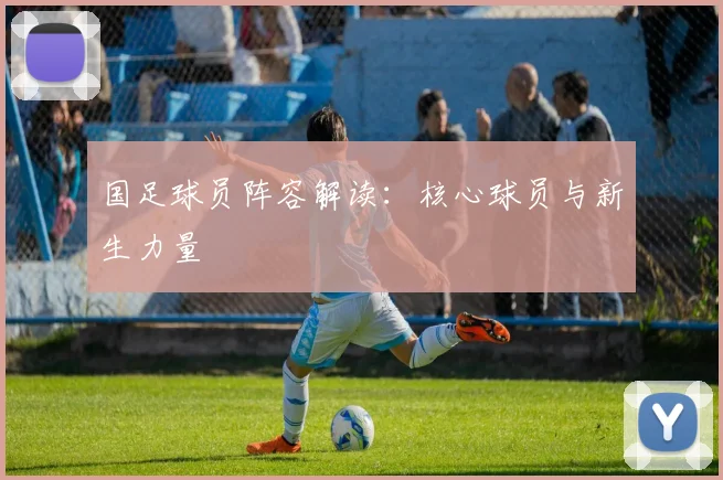 国足球员阵容解读：核心球员与新生力量